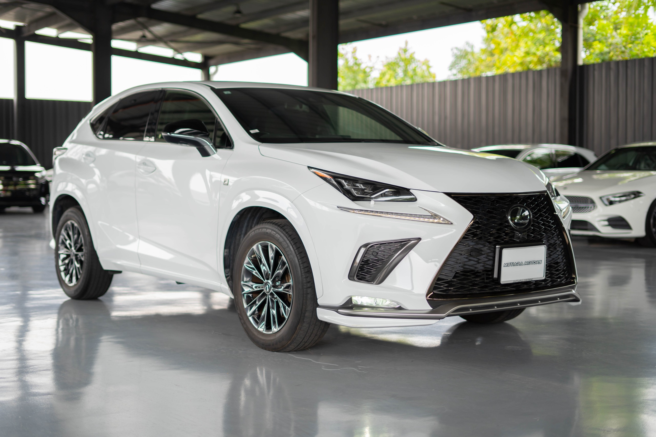 LEXUS NX300 COOL BRIGHT