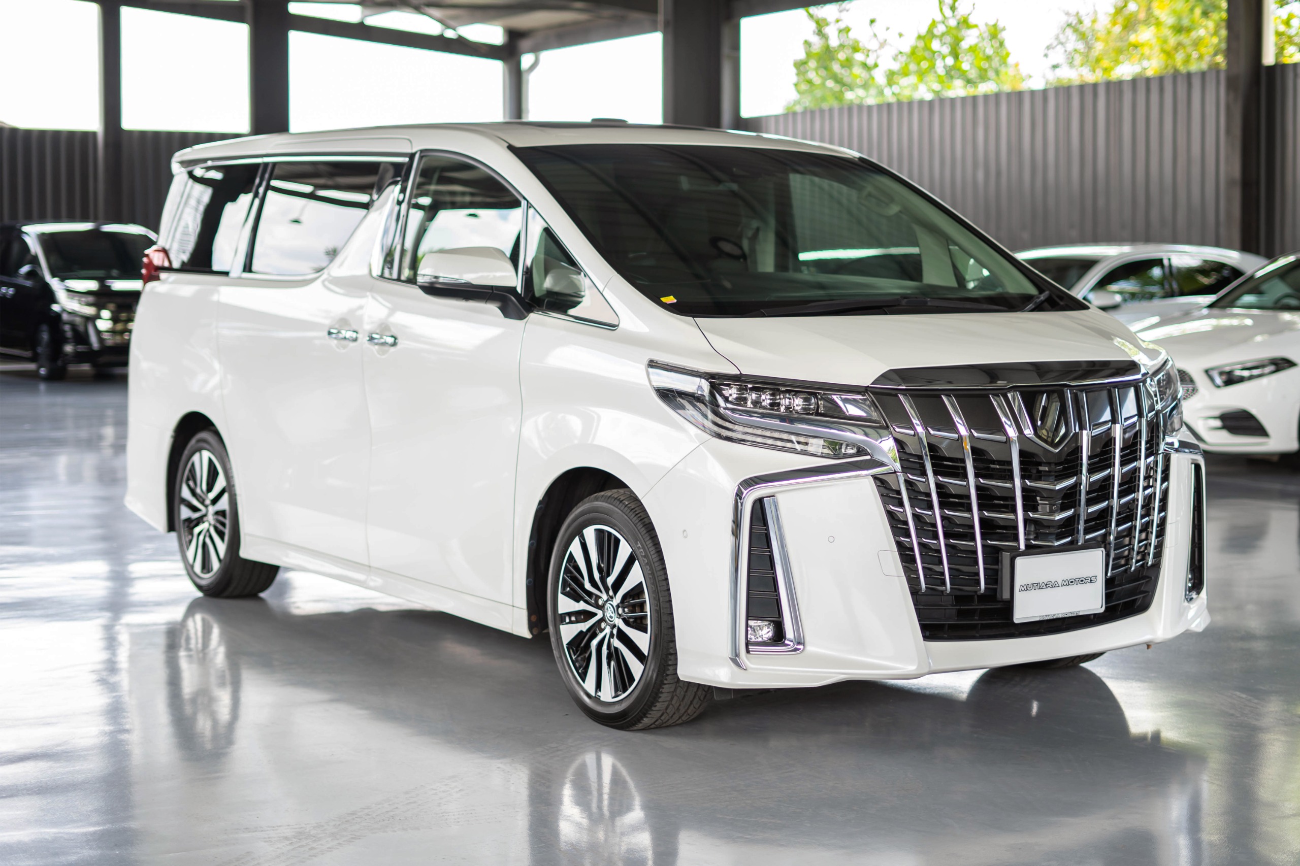 Toyota Alphard SC Edition