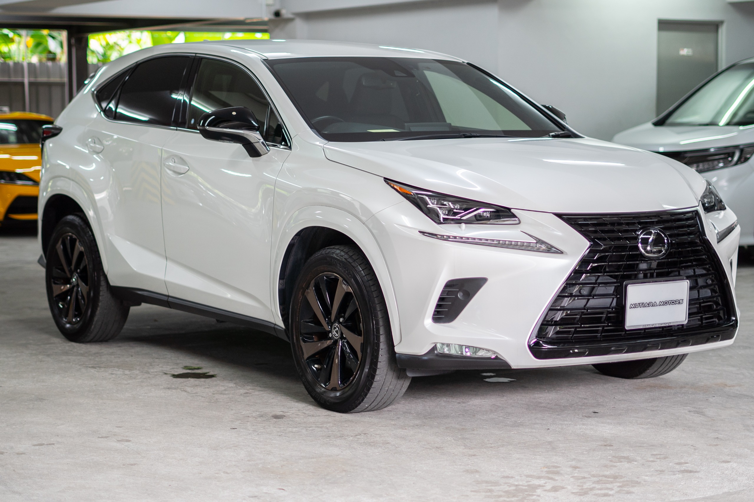 LEXUS NX300-I PACKAGE BRONZE EDITION