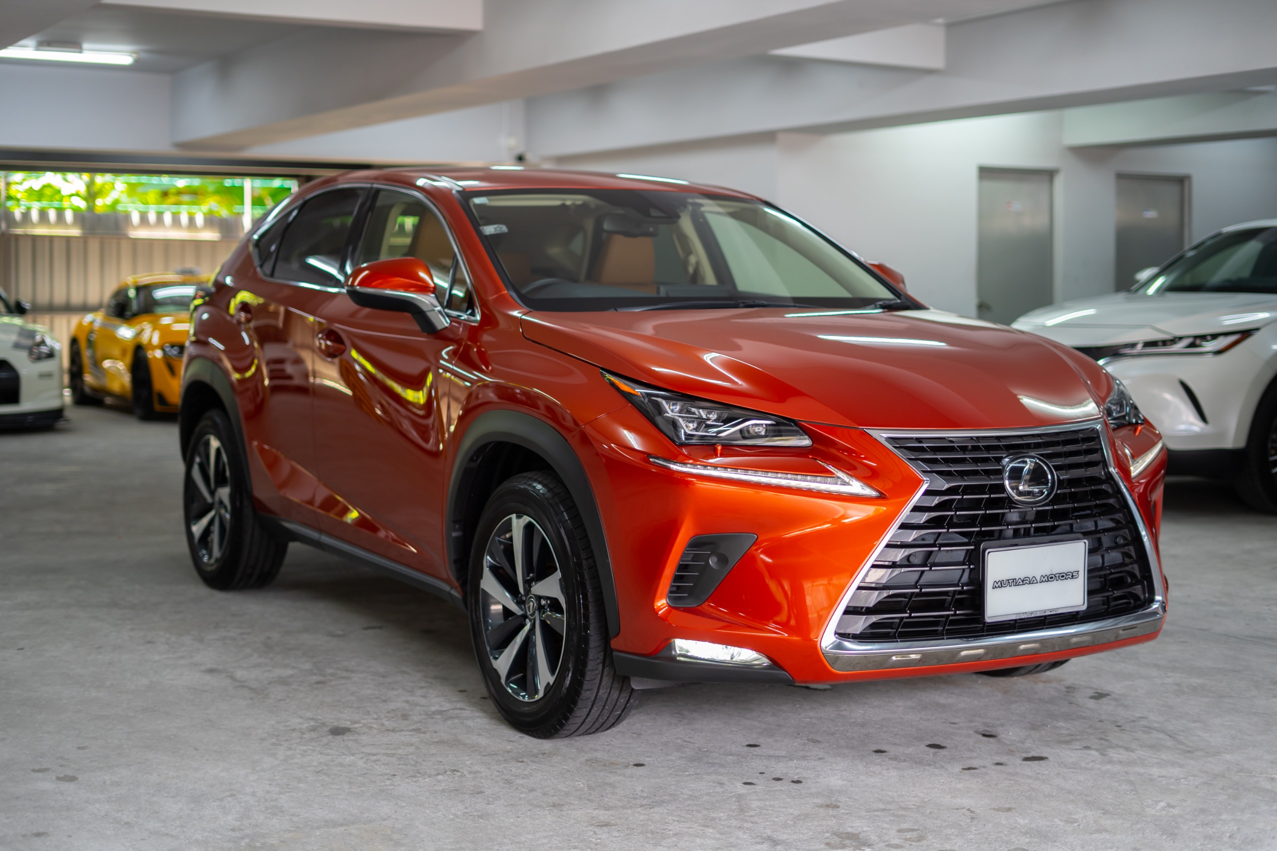 LEXUS NS300 L PACKAGE